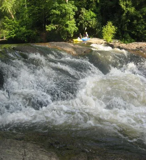 Whitewater on the Cartecay River near Ellijay