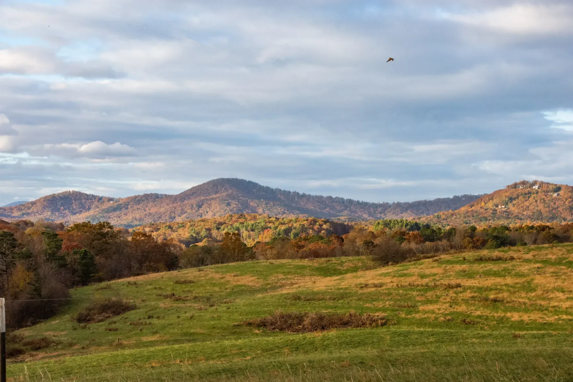 Rolling mountain pasture and tree lines in North Georgia