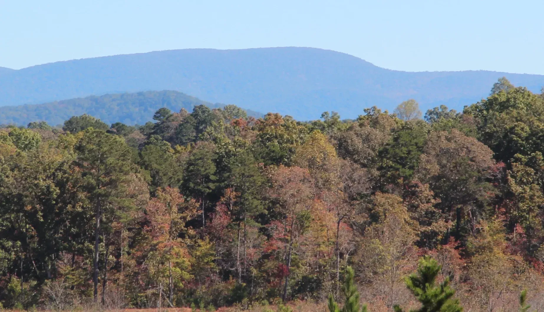 Springer Mountain seen across the valley from East Ellijay