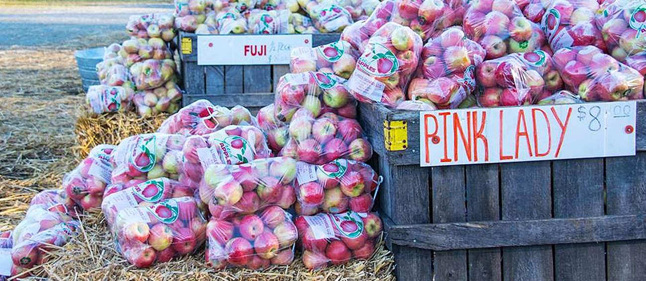 Apples In Bags And Barrels At The Apple Festival