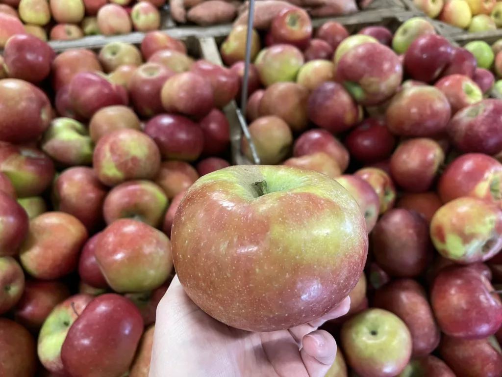 Hillcrest Orchards - Ellijayapplefestival.org