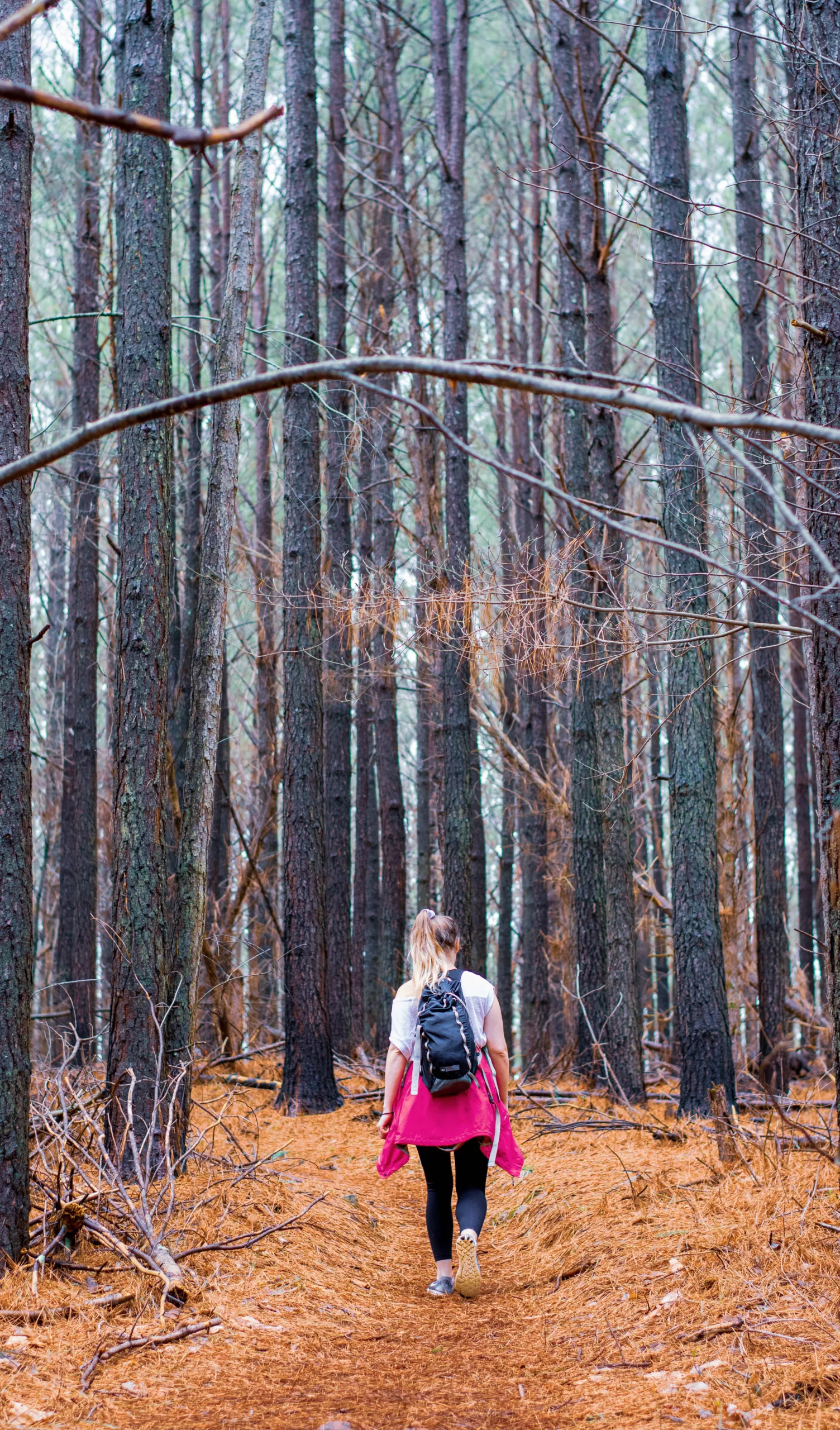 Girl Hiking In Ellijay, Ga