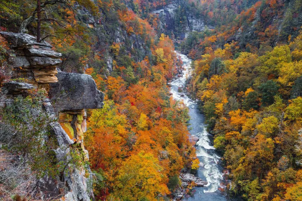 Tallulah Gorge - North Georgia Hikes