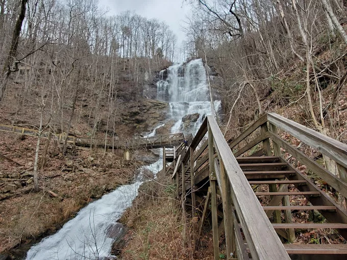 Amicalola Falls Hike